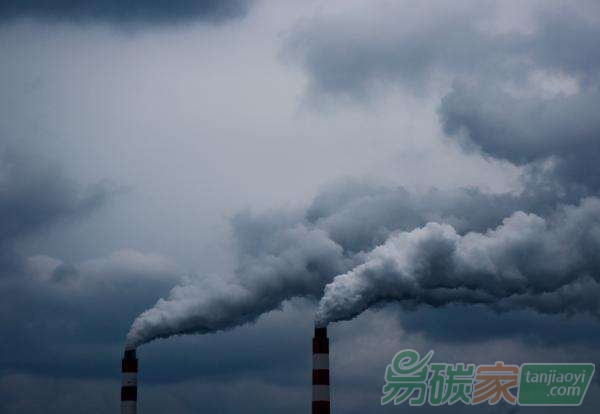 2017年氣候能源圈的10件大事到底誰是真正灰犀牛？