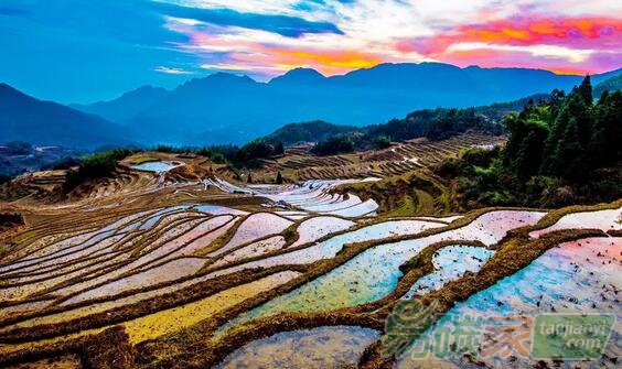 人民日?qǐng)?bào)：靠山吃山，做足綠色大文章