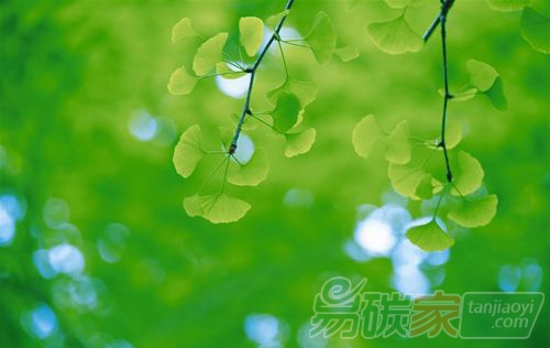 讀懂綠色金融的理念和發(fā)展意義讓綠色金融服務(wù)實體經(jīng)濟(jì)可持續(xù)發(fā)展